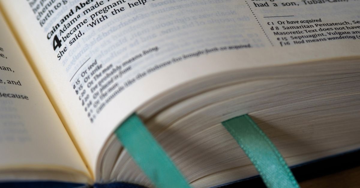 Social Bookmarking Sites for SEO: Do They Still Help?