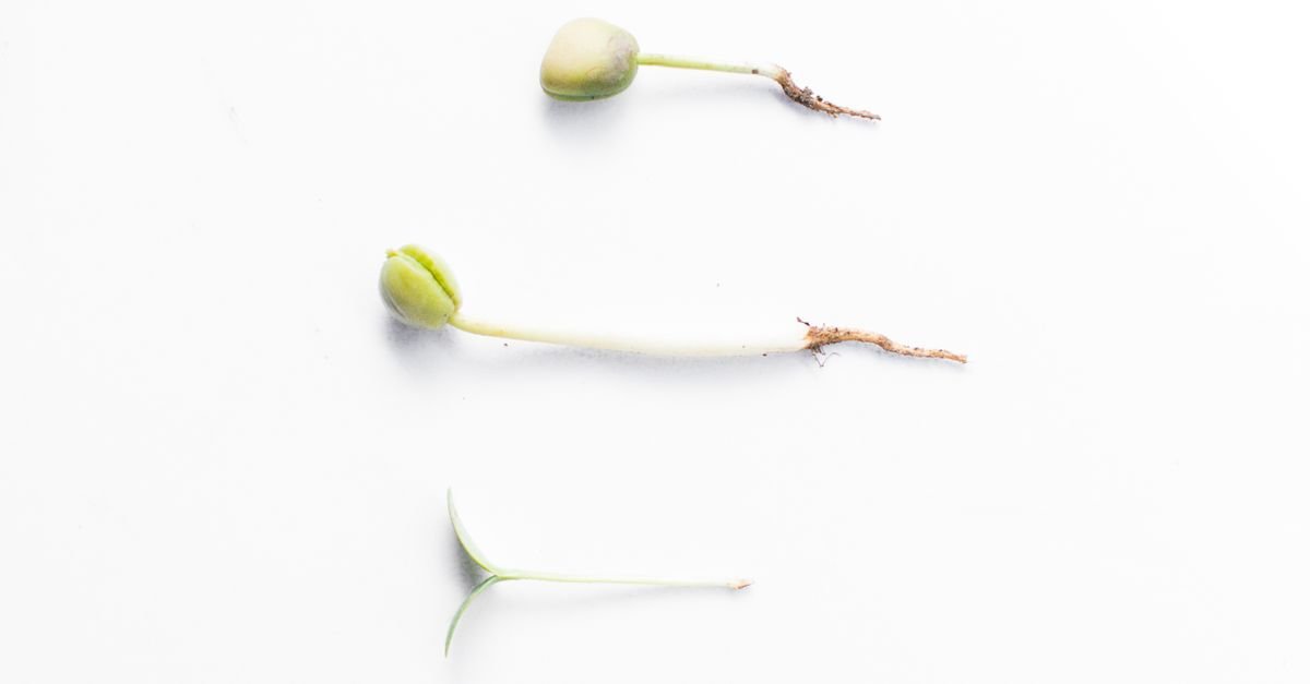 Zero to 10,000 Monthly Visitors: The Timeline