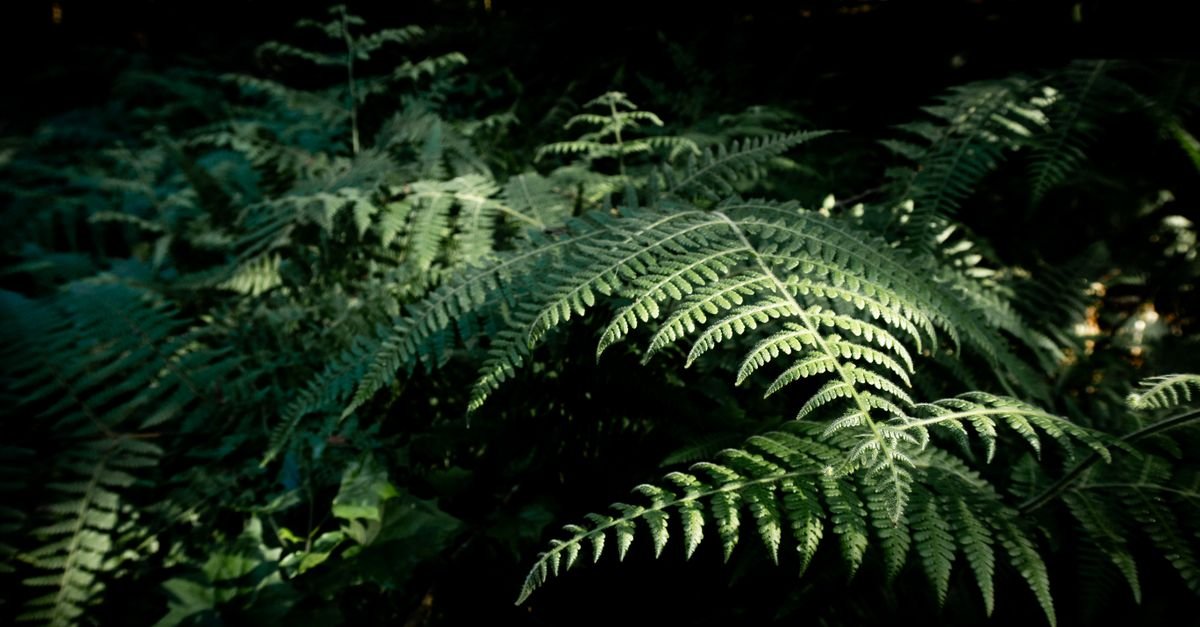 Evergreen Content: What It Is and How to Create It