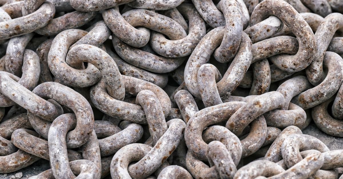 Broken Link Building Case Study
