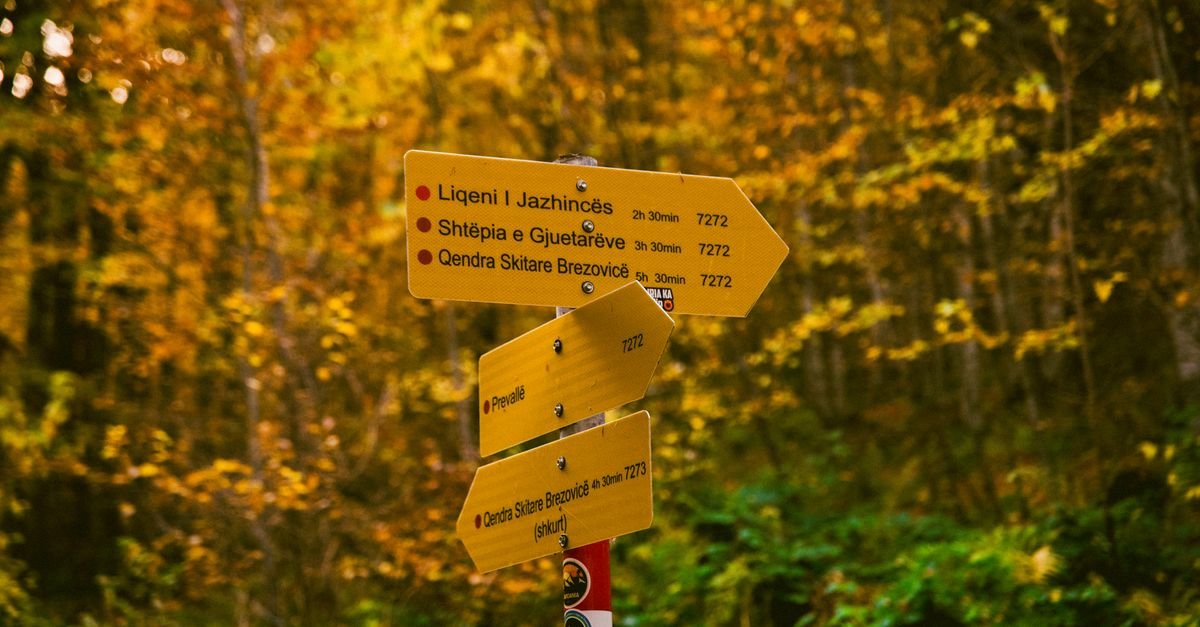 Which Social Platform Is Right for You?