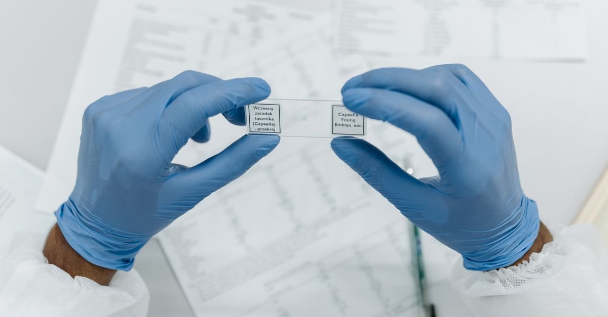 Using Original Research and Data in Content