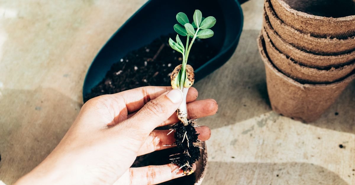 Designing an Email Nurture Sequence