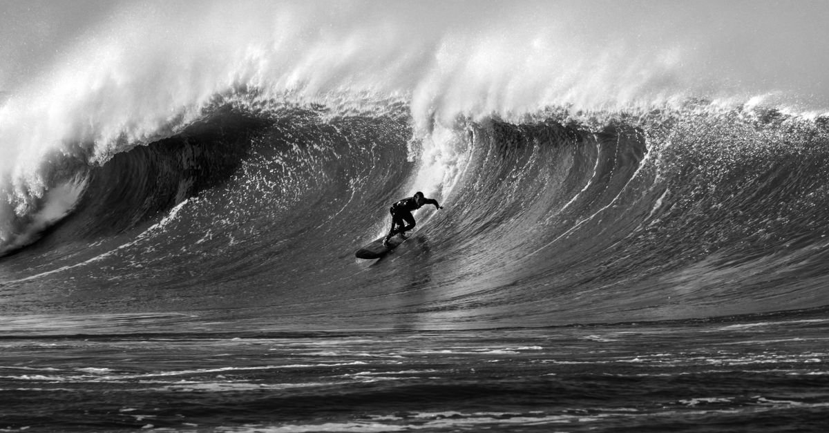 Surfer SEO Review